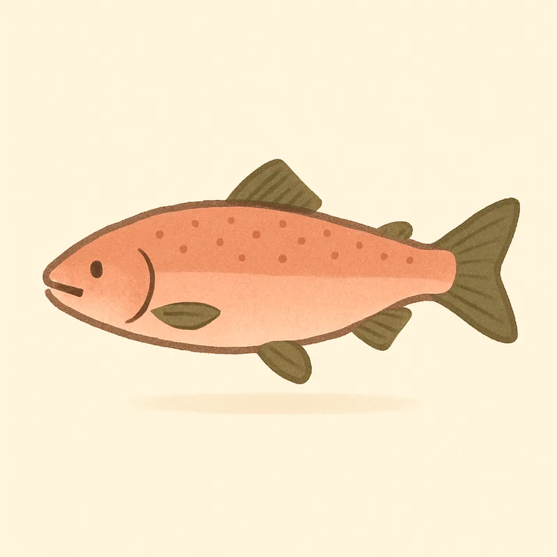 salmon fish